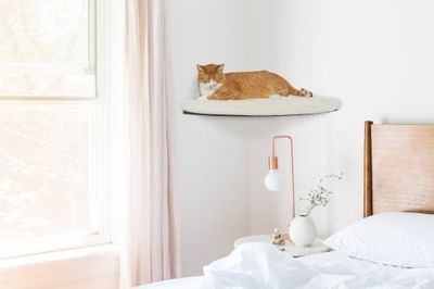 Cosy and Dozy katthylla CHILL Corner Wenge