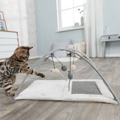 Kattleksak lekmatta / kattungegym