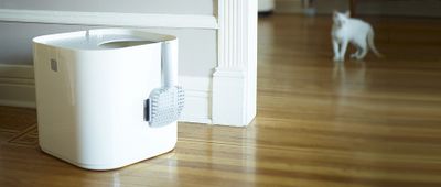 Modkat kattlåda grå