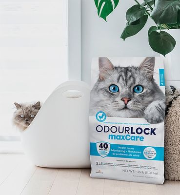 Kattsand OdourLock maxCare 12 kg