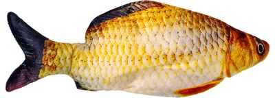 Sprattlande FISK GRÄSKARP