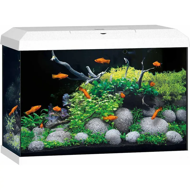 Juwel Primo 70 LED 2.0 - VIT