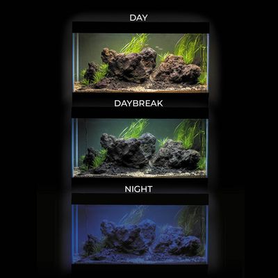 Aquael UltraScape 60 Snow 64L