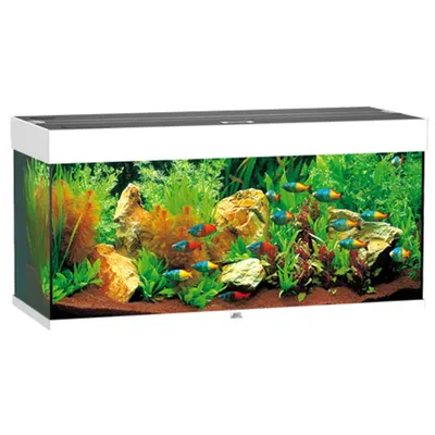 Juwel Rio 180 LED -VIT