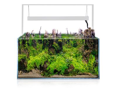 123431_ultrascape_90_snow_01_aquascape_main_860