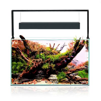 123428_ultrascape_60_forest_01_279