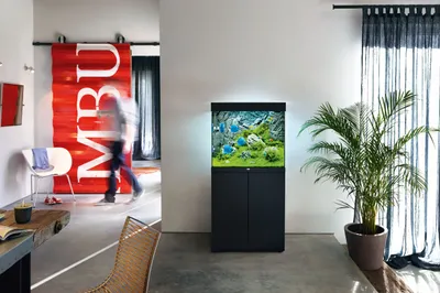 juwel_aquarium_ambiente_lido200@2x