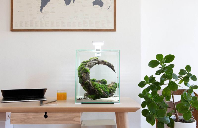 AquaEL SHRIMP SET SMART D&N VIT 30L