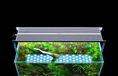 about_cover (1)