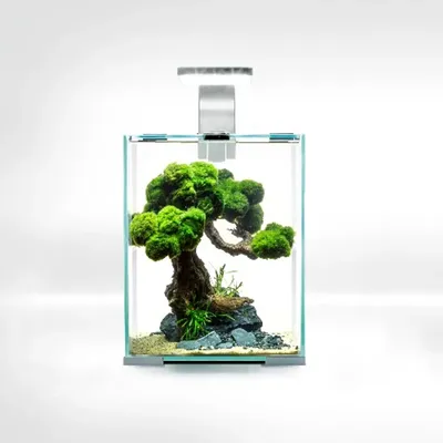 Nanoakvarium