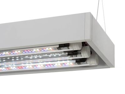 Aquael UltraScape 60 Snow 64L Möbelakvarium