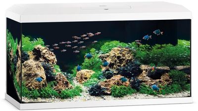 Primo_110_LED_2