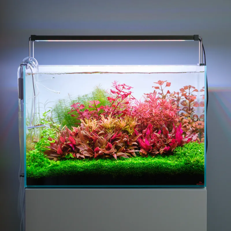Twinstar Light S-Line Gen5