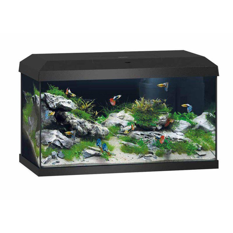 Juwel Primo 60 LED 2.0 - SVART - FRI FRAKT