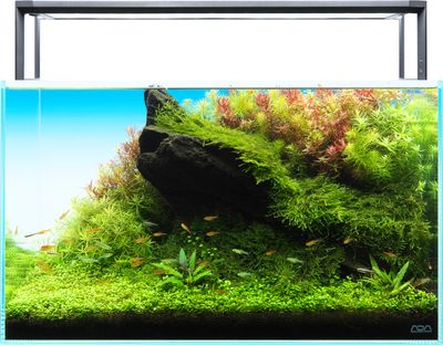 ADA Aquasky RGB II 60
