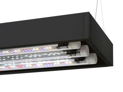 Aquael UltraScape 60 Forest 64L Möbelakvarium