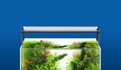 ADA Aquasky RGB II 60