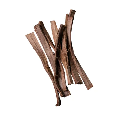 Catappa Bark 12st