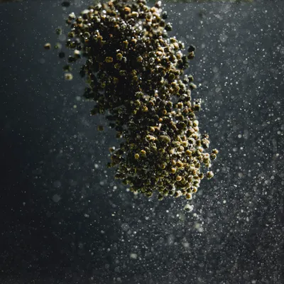 StreamBiz Cichlid Spirulina pellets