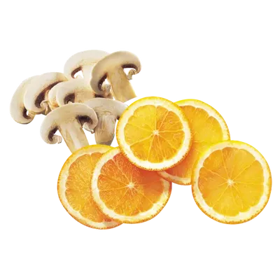 Skivare  - Stora serien