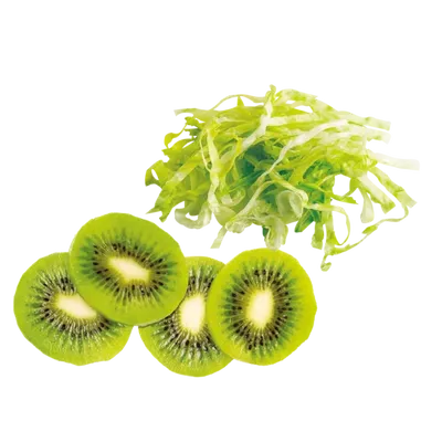 Skivare  - Stora serien