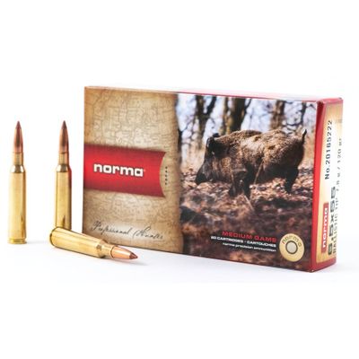 Norma 6,5x55 SE Ballistic Tip, 7,8g/120gr, 20 ASK
