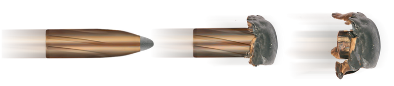 GECO SOFTPOINT 8X57 JS   TM 12,0G  20/ASK