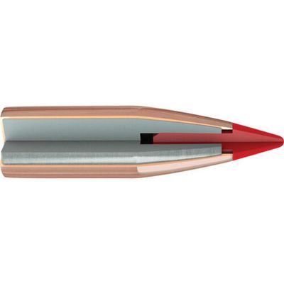 Hornady V-MAX 6mm (.243) 75gr 100 ASK