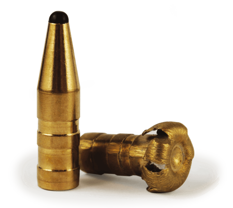 Fox Classic hunter .25 (.257) - 100 gr  6,5 g - 50 ASK