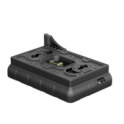 PULSAR IPS Battery Charger