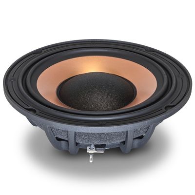 Xcelsus XXM875