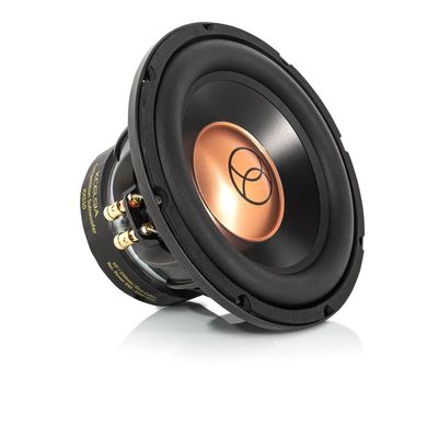 XXS10 10