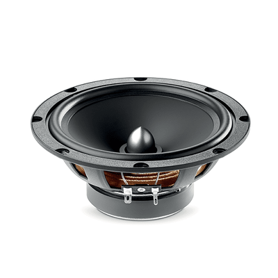 Focal ASE165