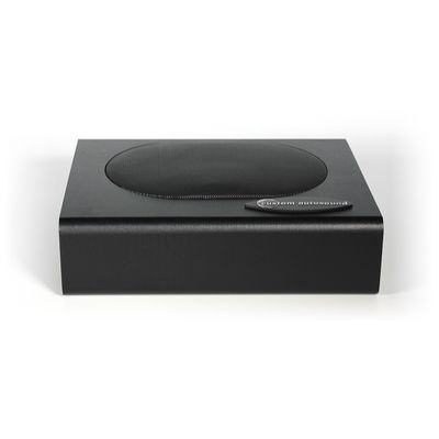 Custom Autosound Undercover I