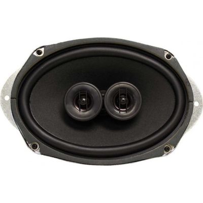 Custom Autosound 6x9" DVC
