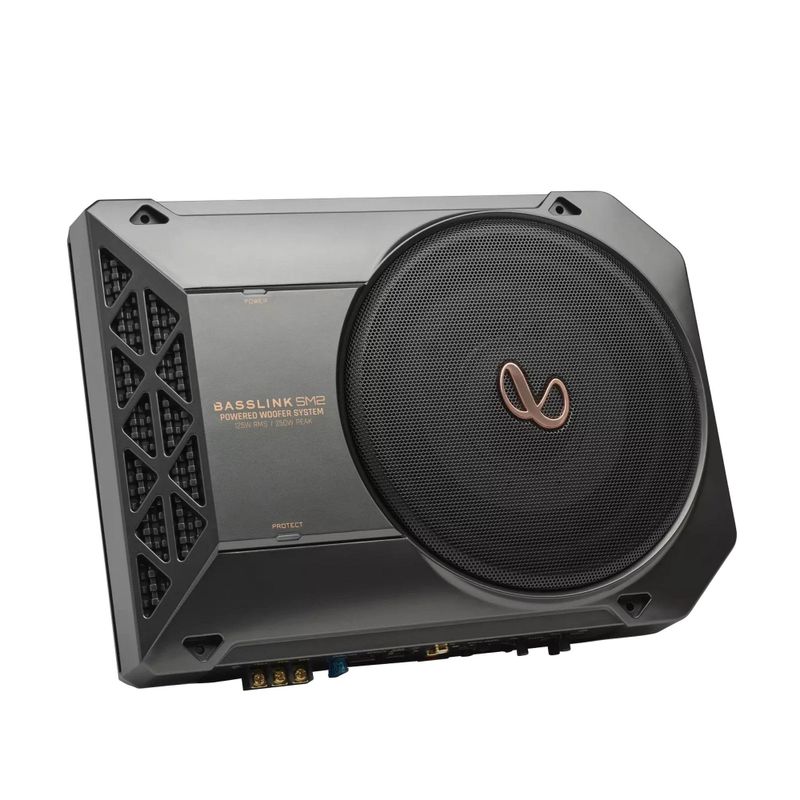 Infinity BassLink SM2
