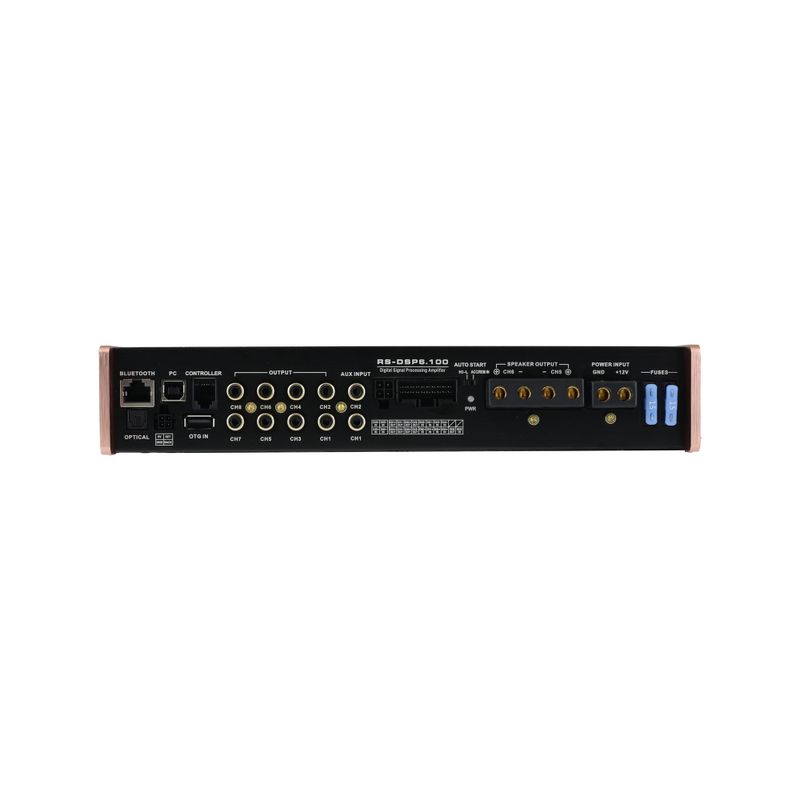 Reiss RS-DSP6.100