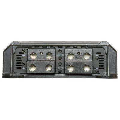 SounDigital 20000.1 EVOX - 1ohm