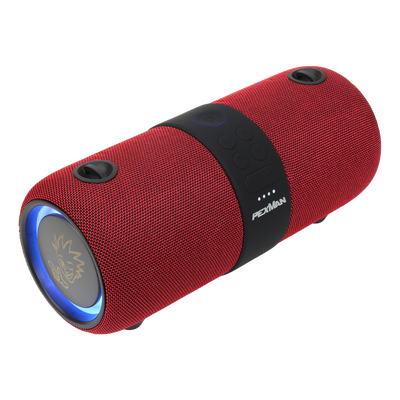PEXMAN PM-10R