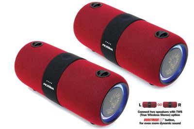PEXMAN STEREO PM-10R