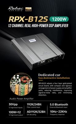 Rebec RPX-B12SV2