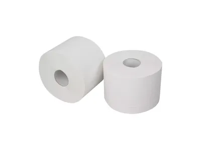 Toalettpapper 2-lag, Vit Återvunnen 100 m/rulle - 24 rl (2400 m/frp)