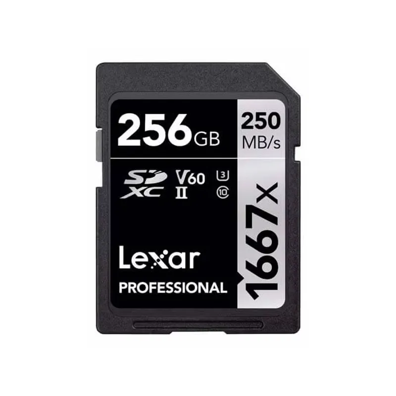 Lexar Professional SD-card 1667x 256GB