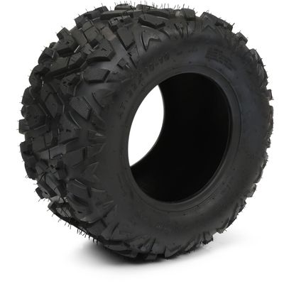 Bakdäck ATV 22X10-10