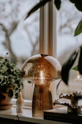 Fungo bordslampa brun
