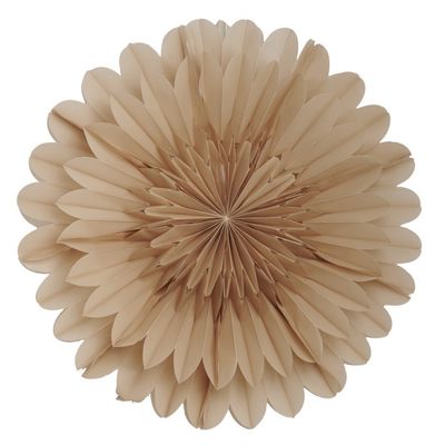Lotus julstjärnor beige