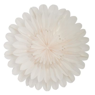 Lotus julstjärnor vit