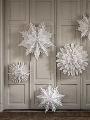 Snöblomma julstjärnor