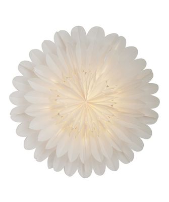 Lotus julstjärnor vit