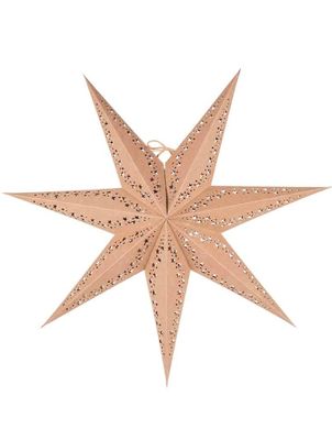 Vintergatan julstjärna 60 natur